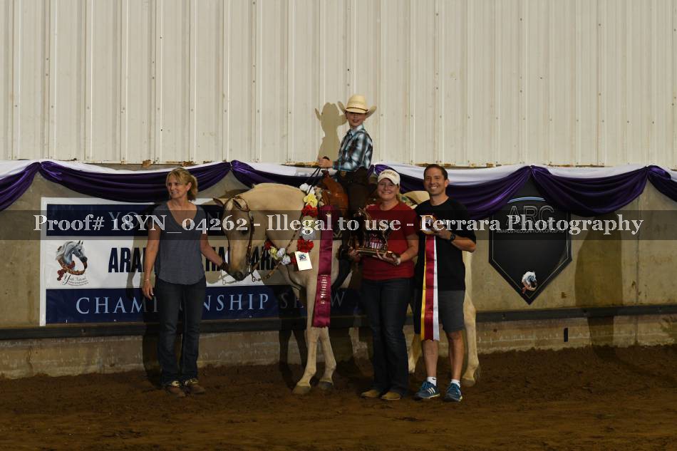 Proof Number 18YN_04262
