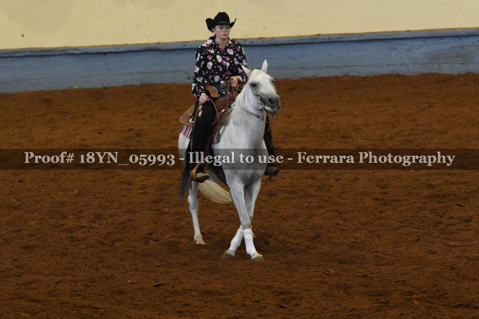 Proof Number 18YN_05993
