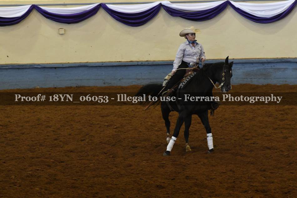 Proof Number 18YN_06053