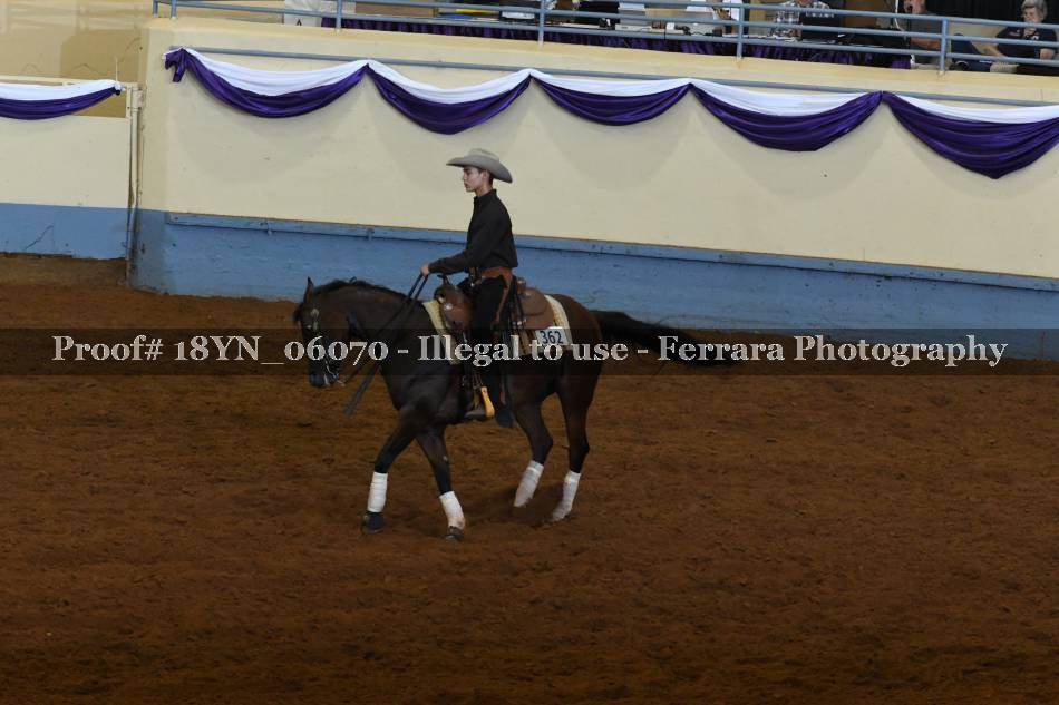 Proof Number 18YN_06070