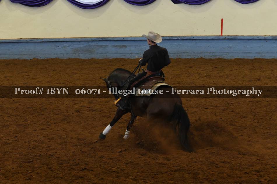 Proof Number 18YN_06071
