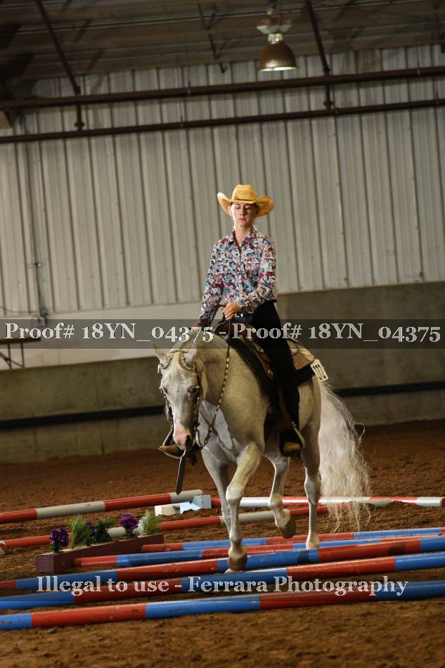 Proof Number 18YN_04375