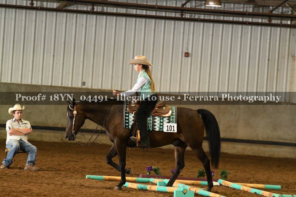 Proof Number 18YN_04491