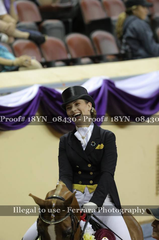 Proof Number 18YN_08430