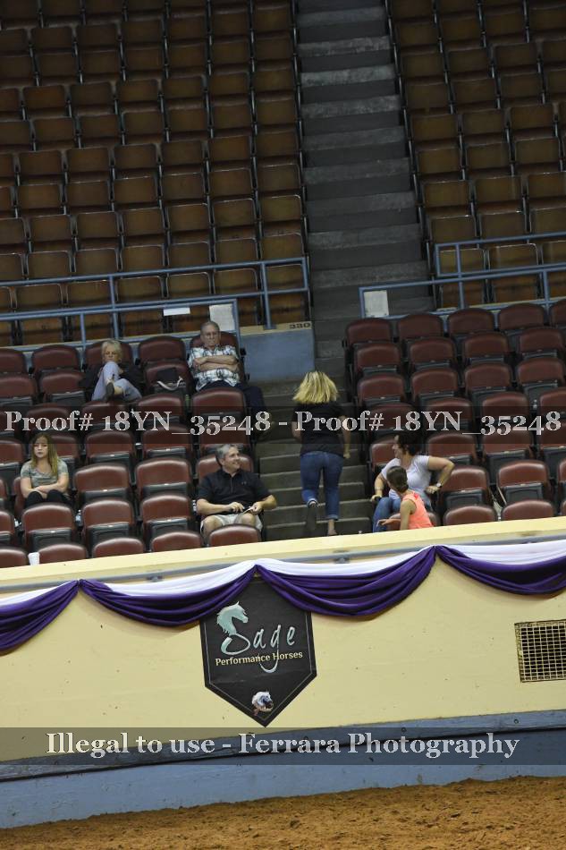 Proof Number 18YN_35248