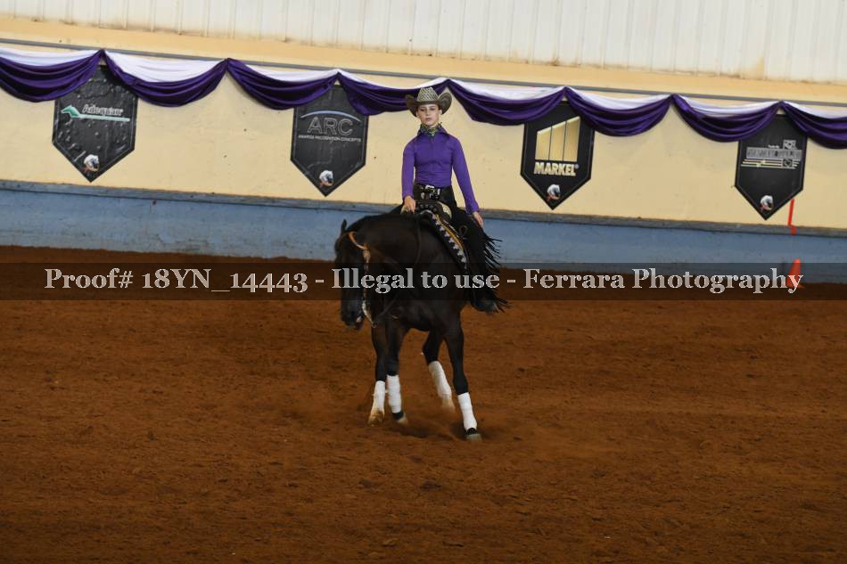 Proof Number 18YN_14443