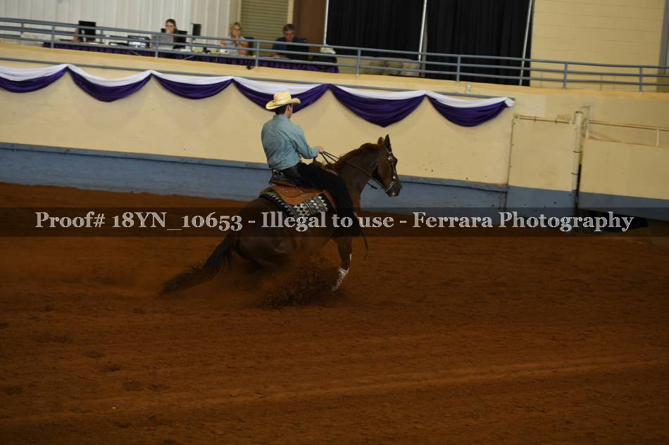 Proof Number 18YN_10653