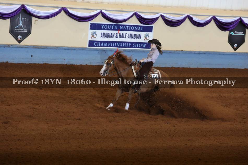 Proof Number 18YN_18060