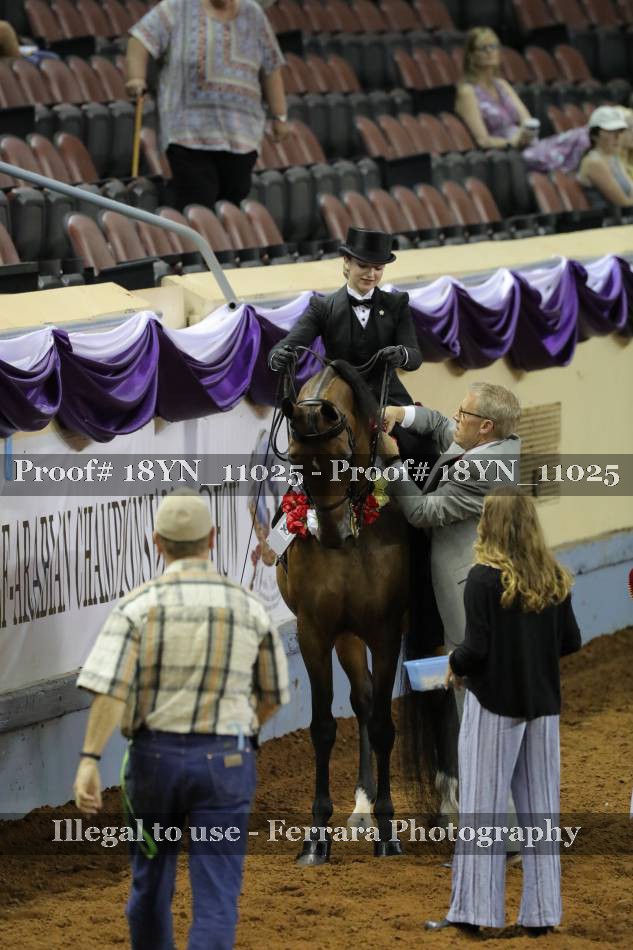 Proof Number 18YN_11025