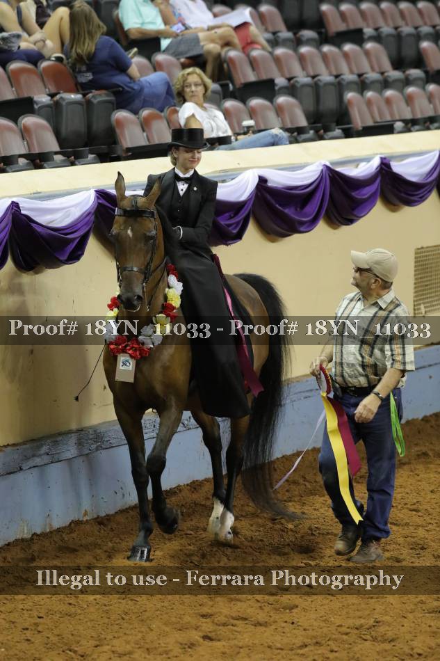 Proof Number 18YN_11033