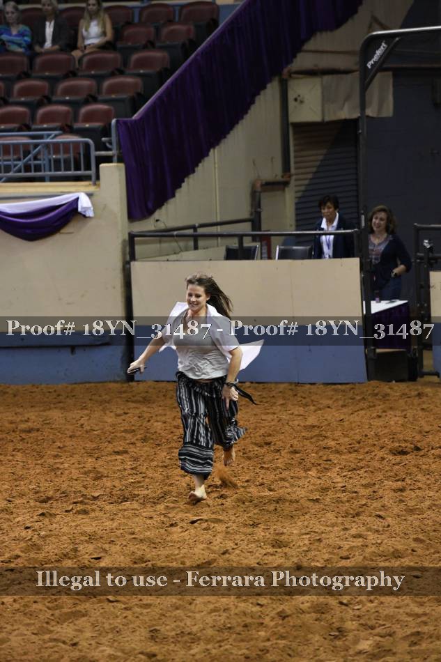 Proof Number 18YN_31487