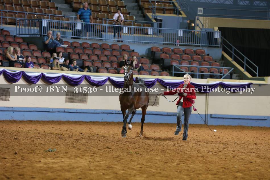 Proof Number 18YN_31536