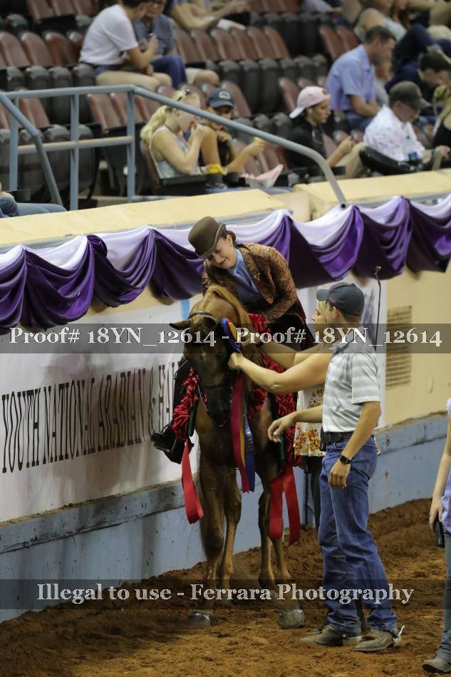 Proof Number 18YN_12614