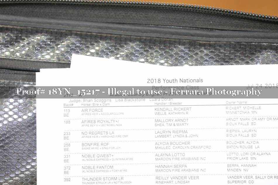 Proof Number 18YN_15217