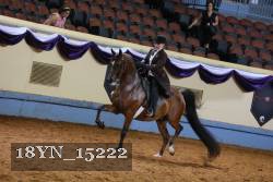 18YN_15222 thumbnail