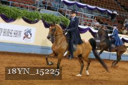 18YN_15225 thumbnail