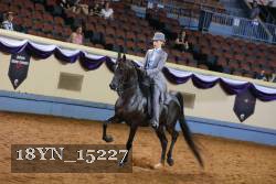 18YN_15227 thumbnail