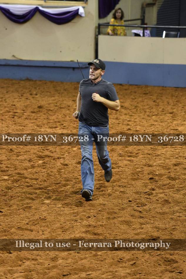 Proof Number 18YN_36728