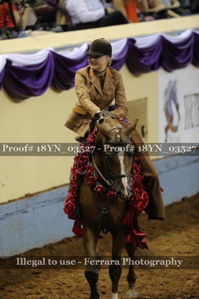 Proof Number 18YN_03527