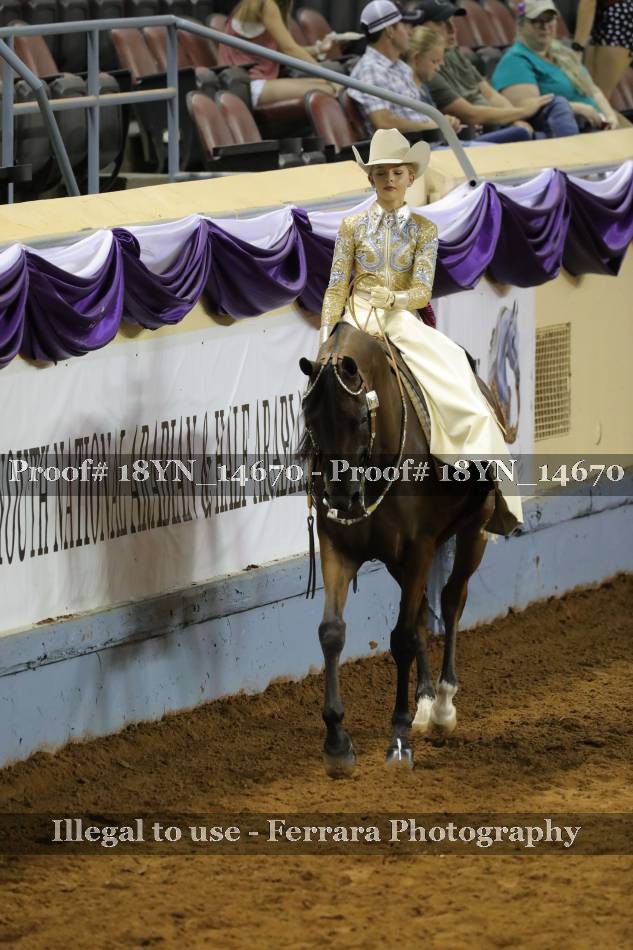 Proof Number 18YN_14670