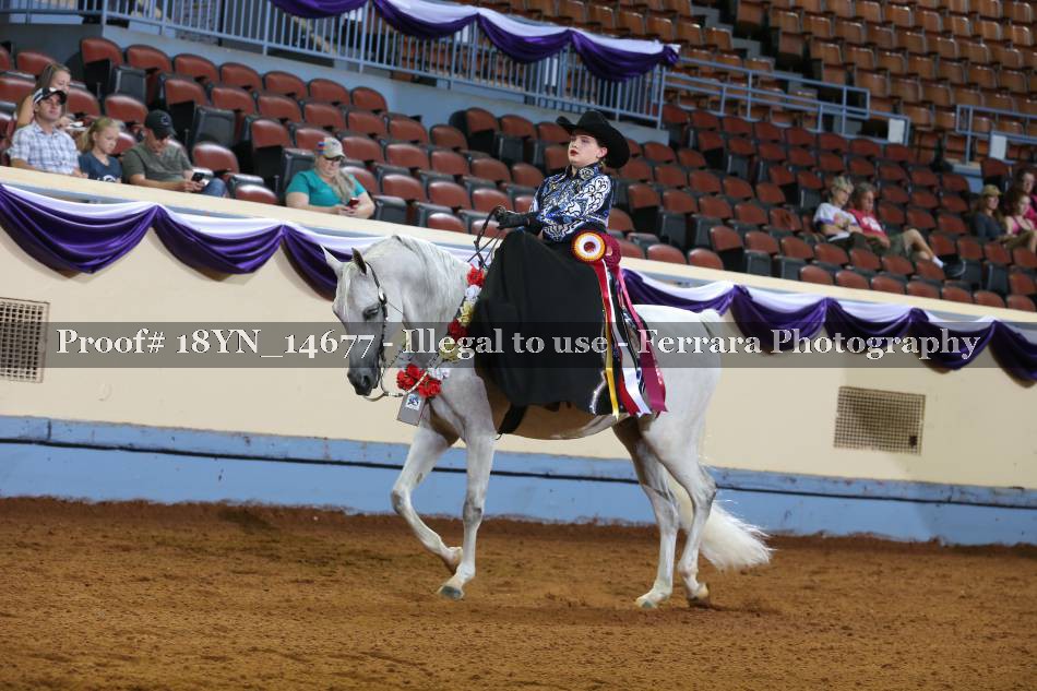 Proof Number 18YN_14677