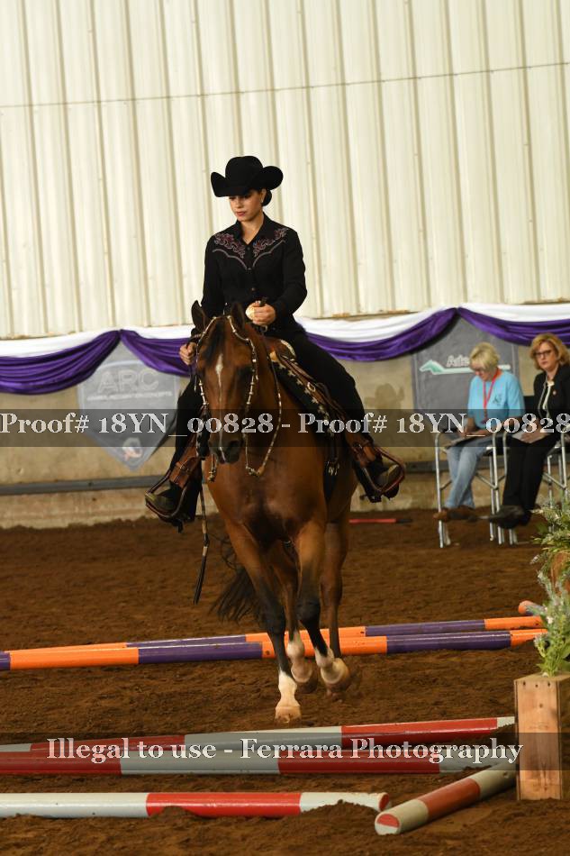 Proof Number 18YN_00828
