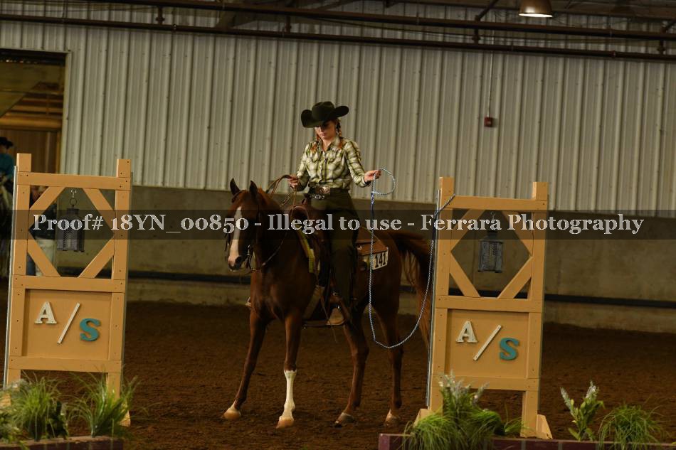 Proof Number 18YN_00850