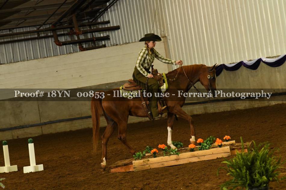 Proof Number 18YN_00853