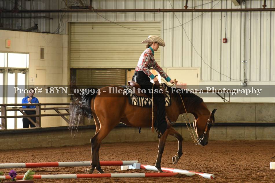 Proof Number 18YN_03994