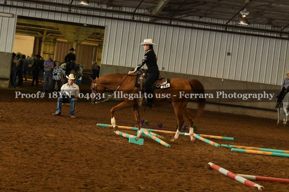 Proof Number 18YN_04031