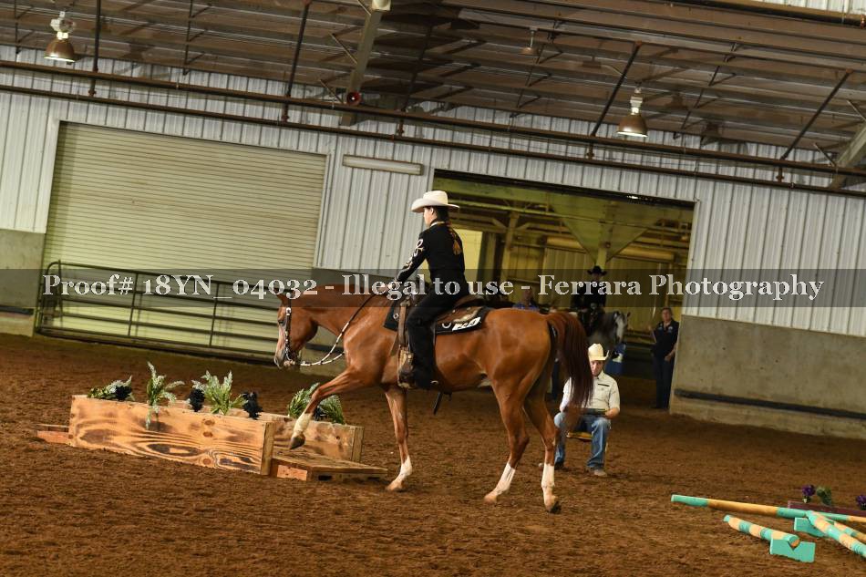 Proof Number 18YN_04032