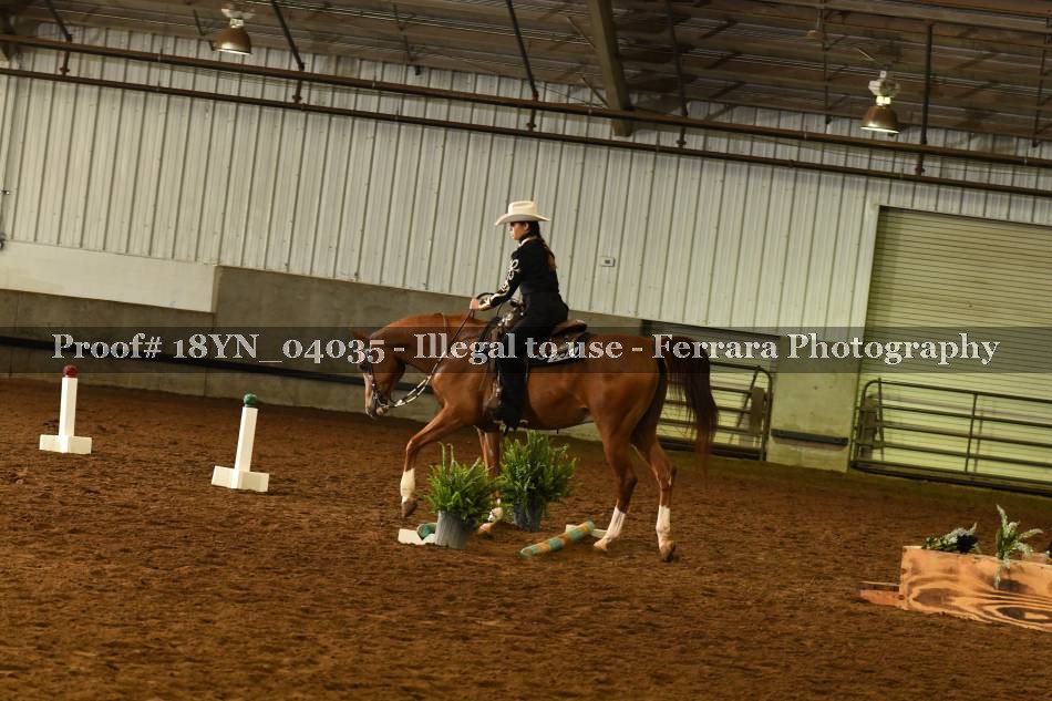 Proof Number 18YN_04035