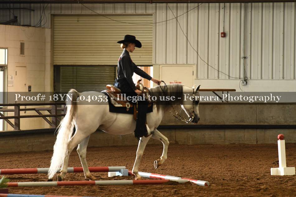 Proof Number 18YN_04053