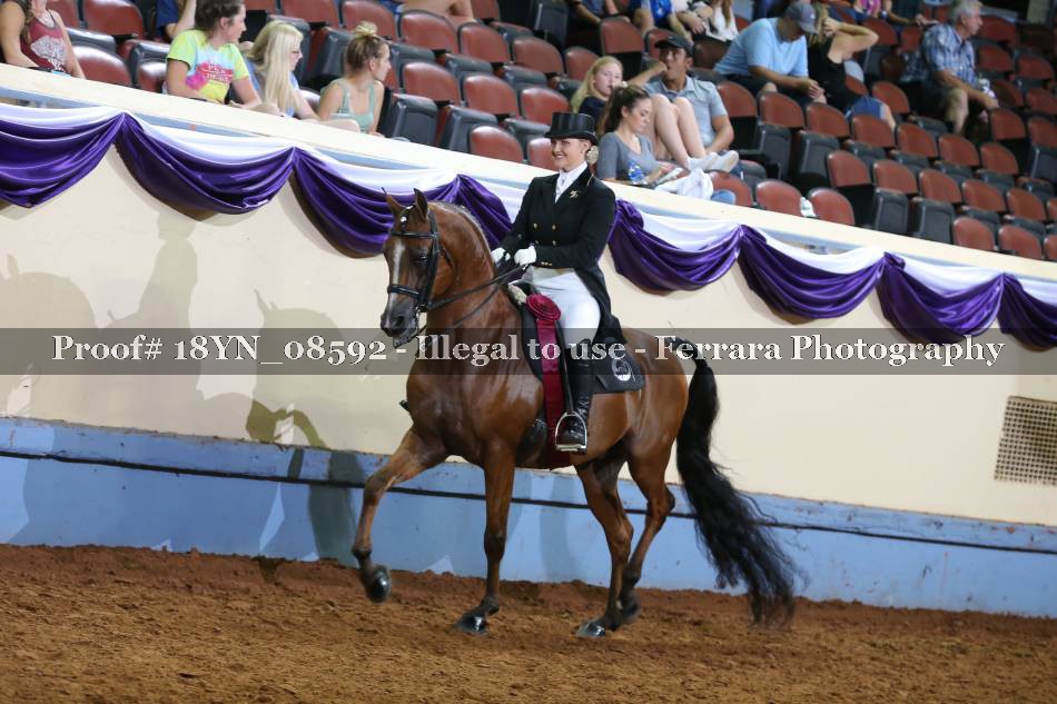 Proof Number 18YN_08592
