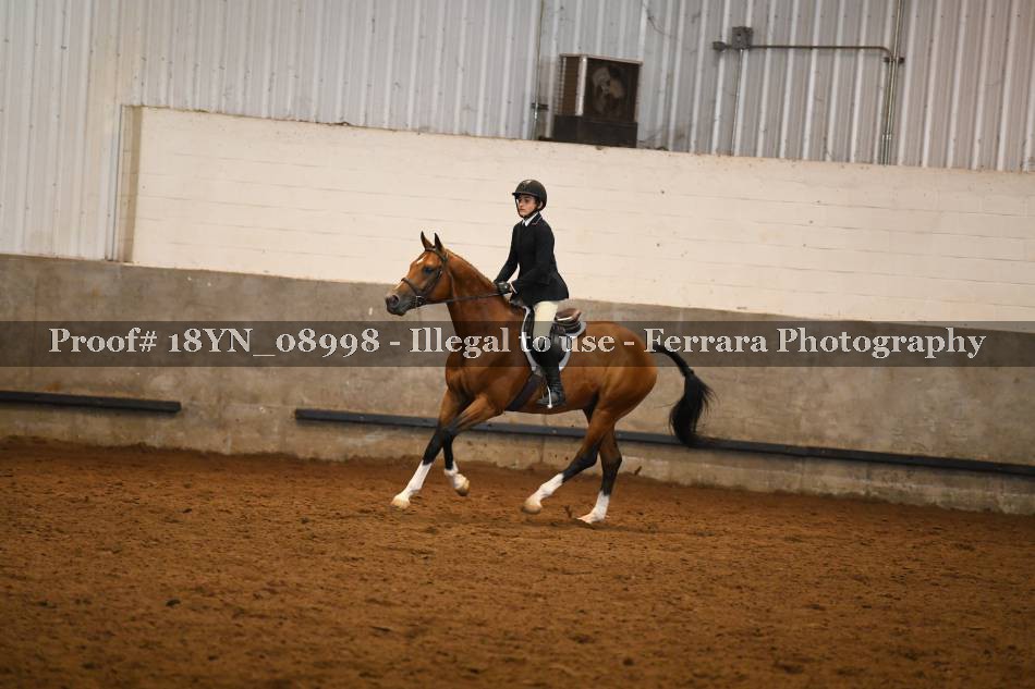 Proof Number 18YN_08998