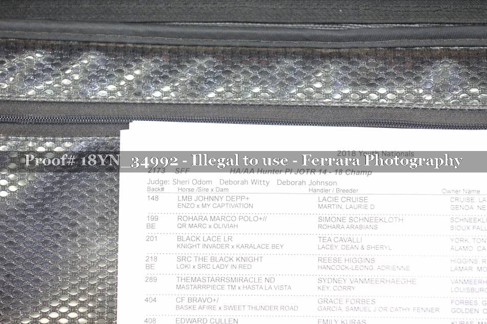 Proof Number 18YN_34992