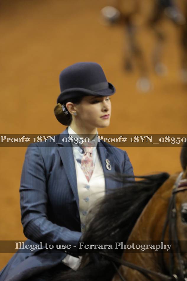 Proof Number 18YN_08350