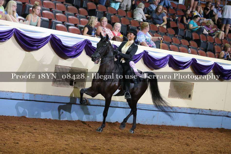 Proof Number 18YN_08428
