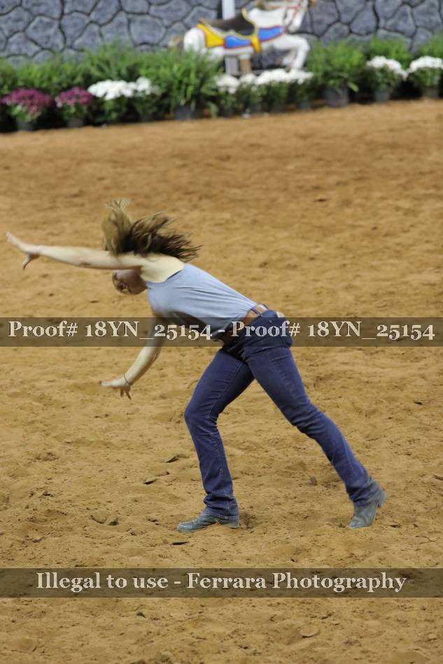 Proof Number 18YN_25154