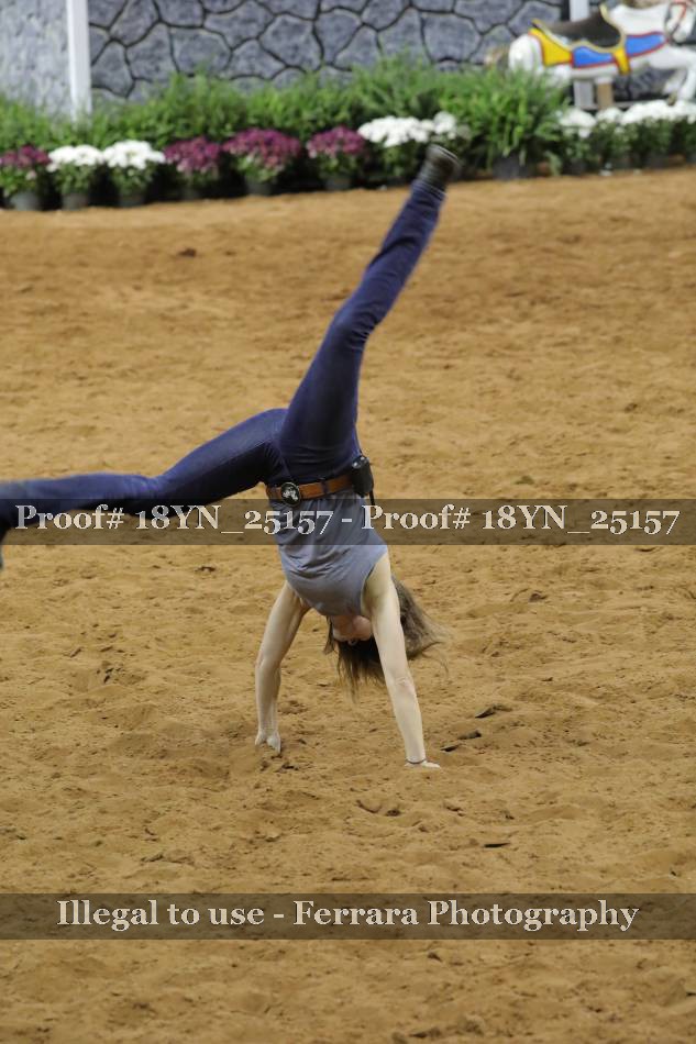Proof Number 18YN_25157