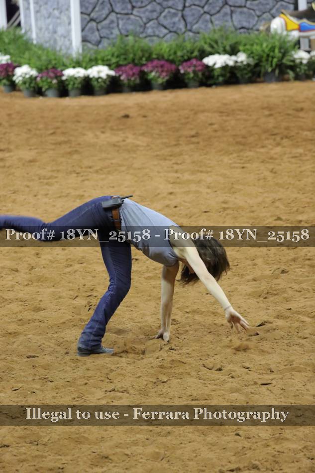 Proof Number 18YN_25158