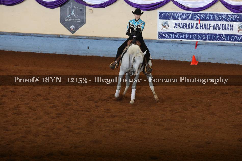 Proof Number 18YN_12153