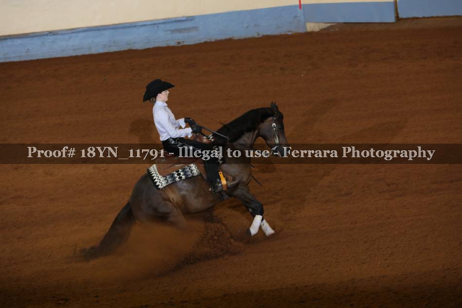 Proof Number 18YN_11791