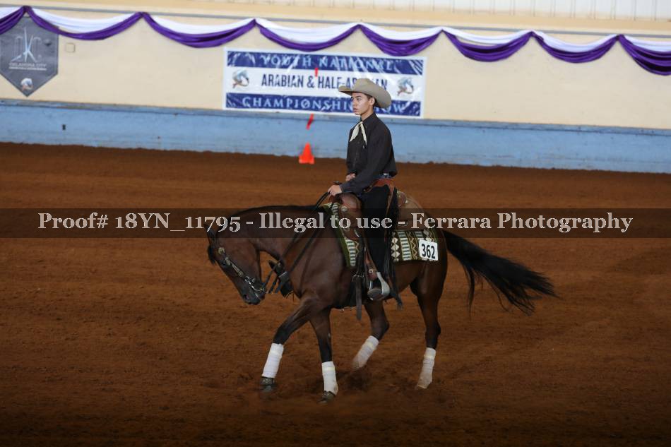 Proof Number 18YN_11795