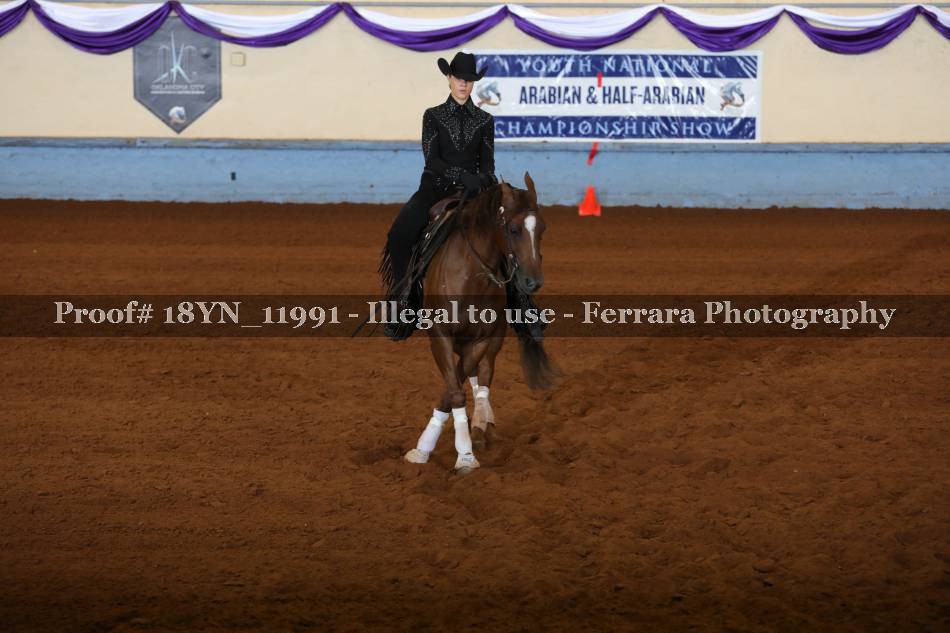 Proof Number 18YN_11991