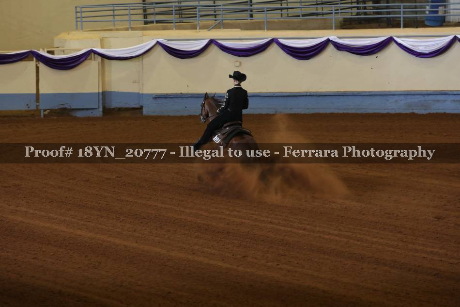 Proof Number 18YN_20777