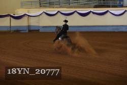 18YN_20777 thumbnail