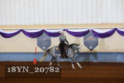 18YN_20782 thumbnail