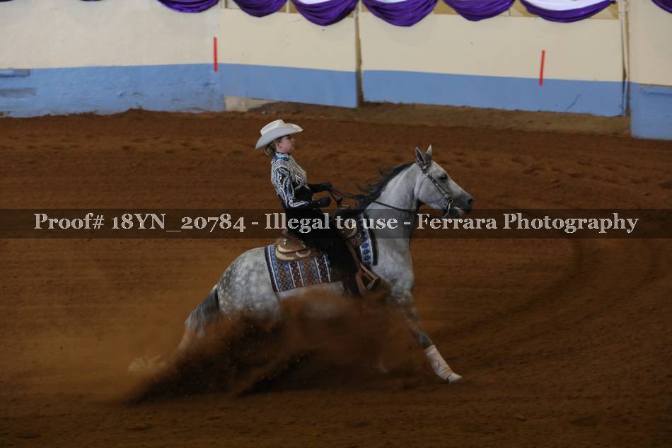Proof Number 18YN_20784