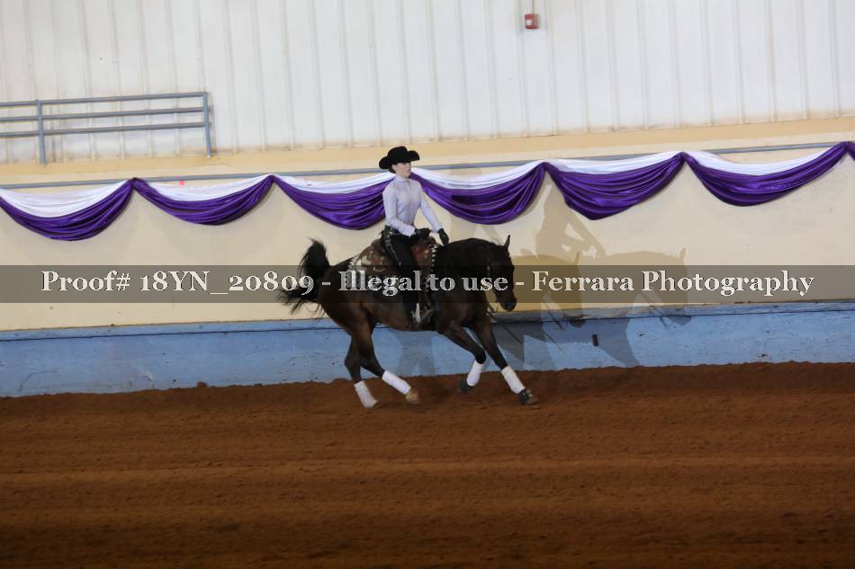 Proof Number 18YN_20809
